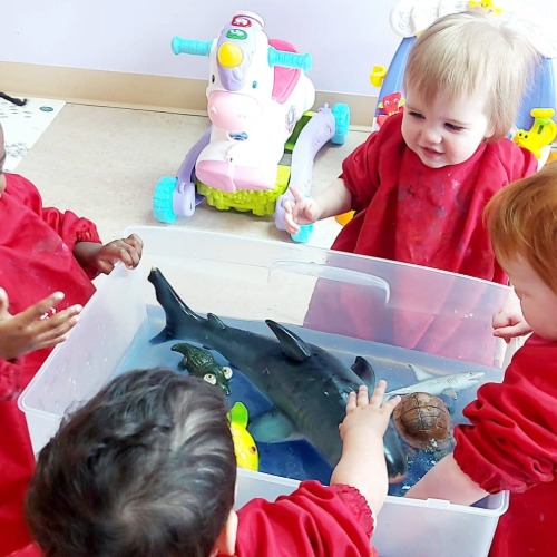 educational program for kids