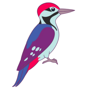 Jeux et exploration en garderie