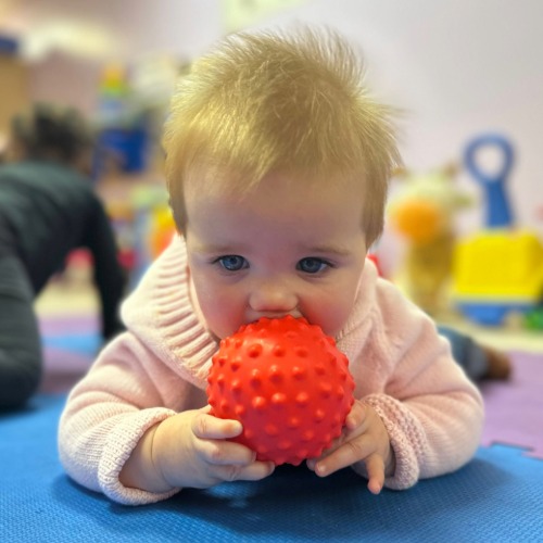 Le programme Colibris pour poupons dans l’Ouest-de-l’Île