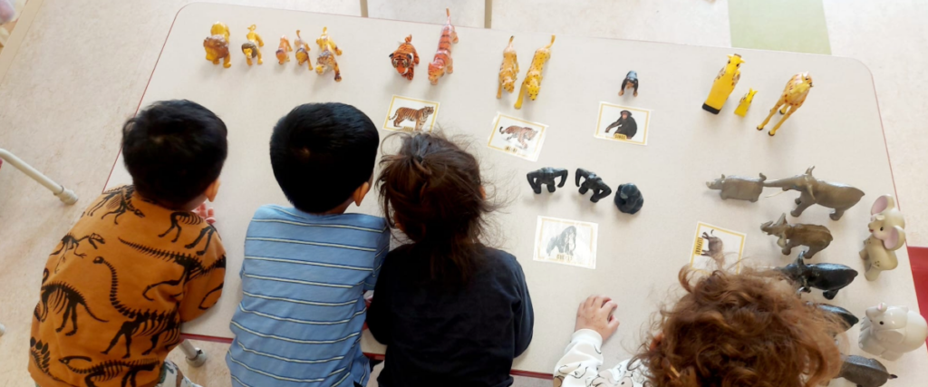 educational program daycare Tweetoons